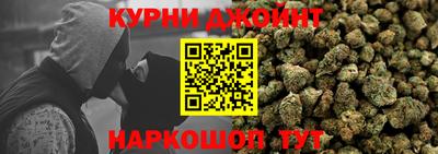 сатива Краснознаменск