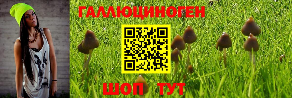 Галлюциногенные грибы GOLDEN TEACHER  Вход с VPN  Ковров  Галлюциногенные грибы GOLDEN TEACHER 