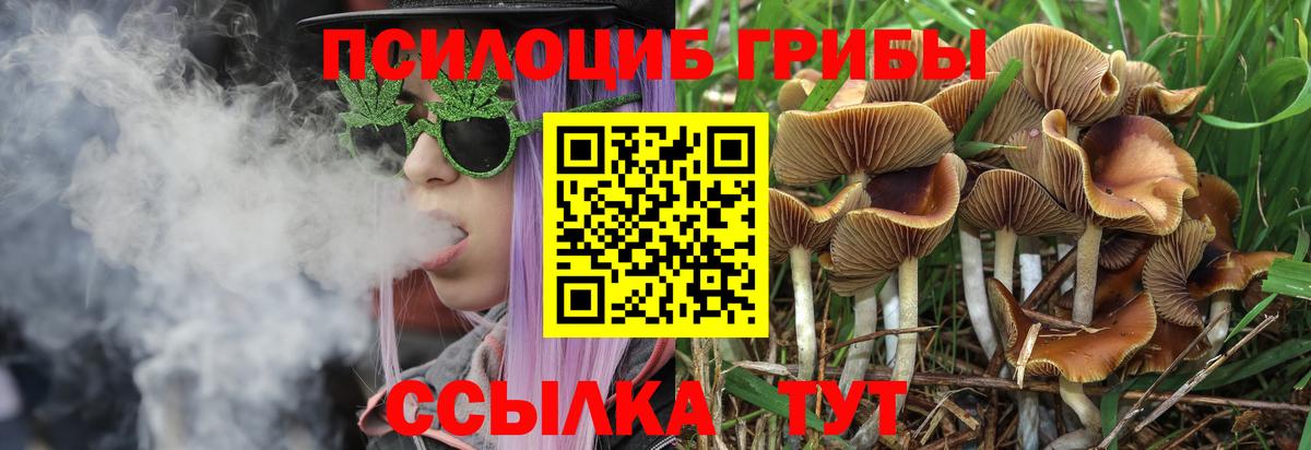 Псилоцибиновые грибы мухоморы Ковров