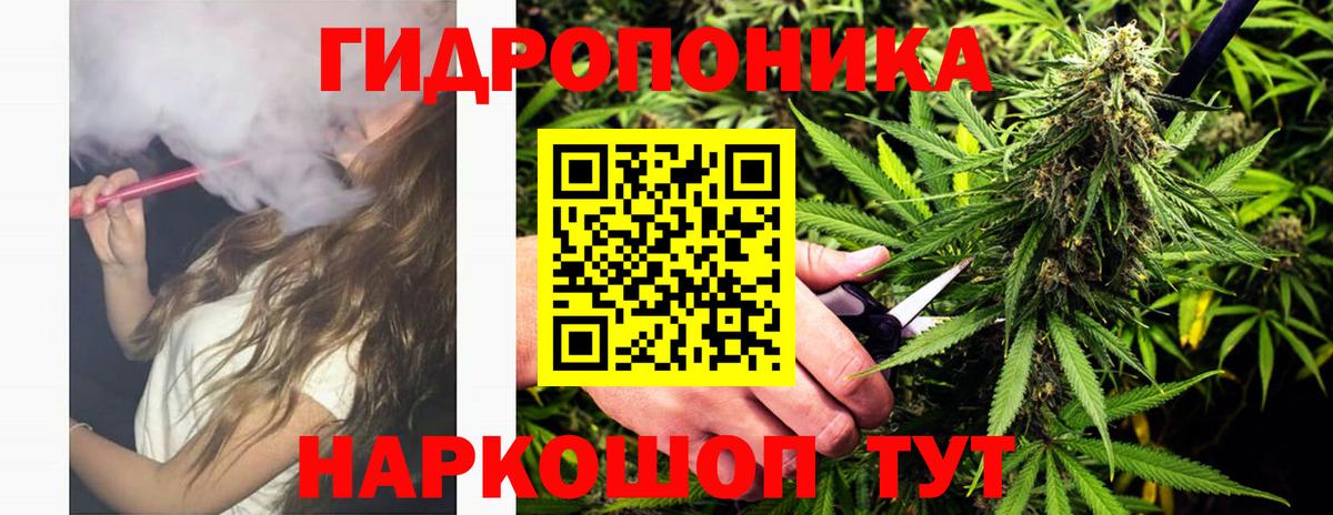 Шишки марихуана сатива Ковров